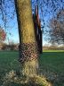 ARTVENT 2024, Park der Sinne, Besitzergreifend, Keramik gebrannt
