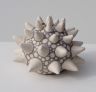 Stachelstern weiss aus Ton, 2016,14x11 cm